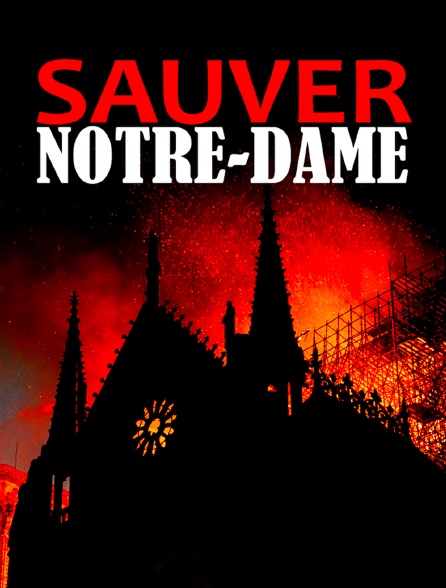 Pompiers de Paris : Sauver Notre-Dame