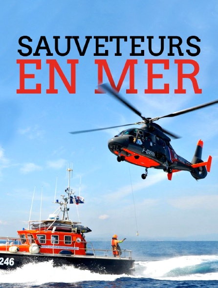 Sauveteurs en mer