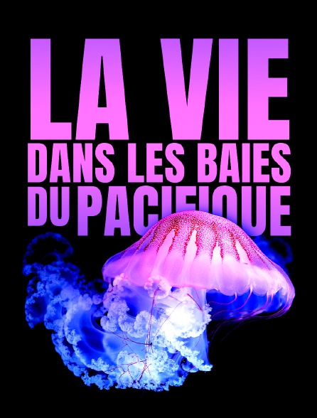 La vie dans les baies du Pacifique