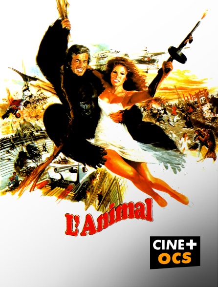 CINÉ Cinéma - L'animal