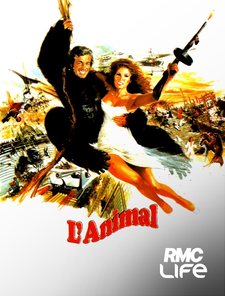 RMC Life - L'animal