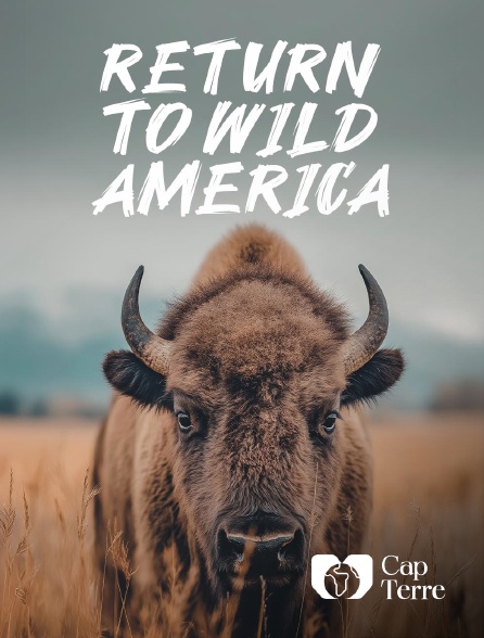 Cap Terre - Return to Wild America
