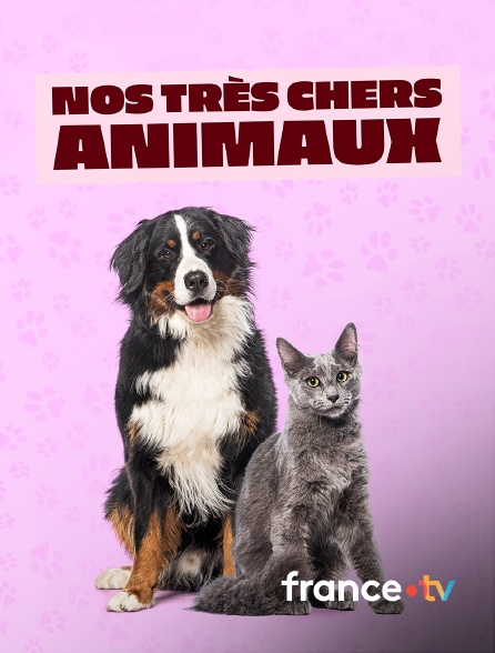 france.tv - Nos très chers animaux