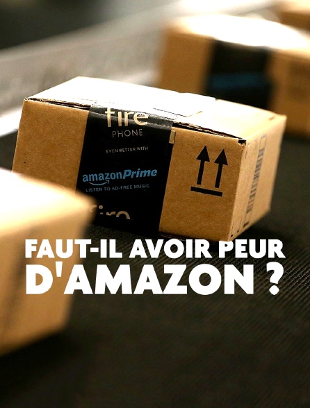 Faut-il avoir peur d'Amazon ?