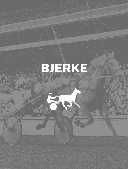 BJERKE