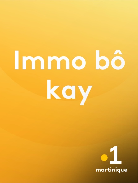 La 1ère Martinique - Immo bô kay en replay