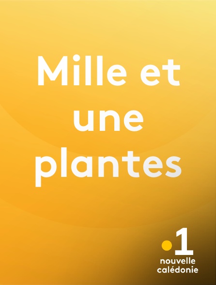 La 1ère Nouvelle-Calédonie - Mille et une plantes en replay