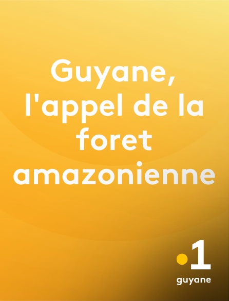 La 1ère Guyane - Guyane, l'appel de la foret amazonienne