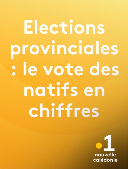 La 1ère Nouvelle-Calédonie - Elections provinciales : le vote des natifs en chiffres