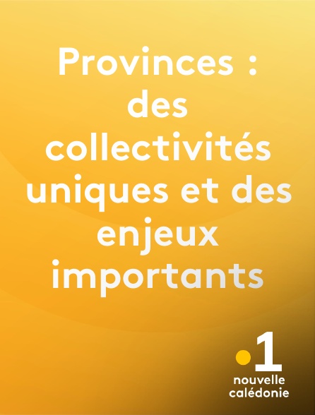 La 1ère Nouvelle-Calédonie - Provinces : des collectivités uniques et des enjeux importants