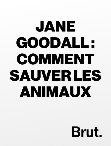 Brut - Jane Goodall : Comment sauver les animaux
