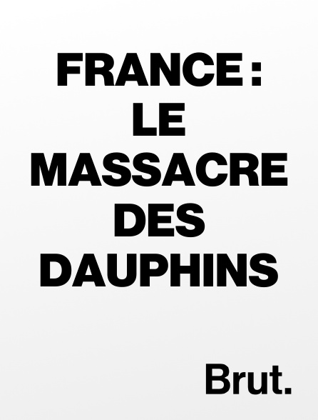 Brut - France : le massacre des dauphins en replay