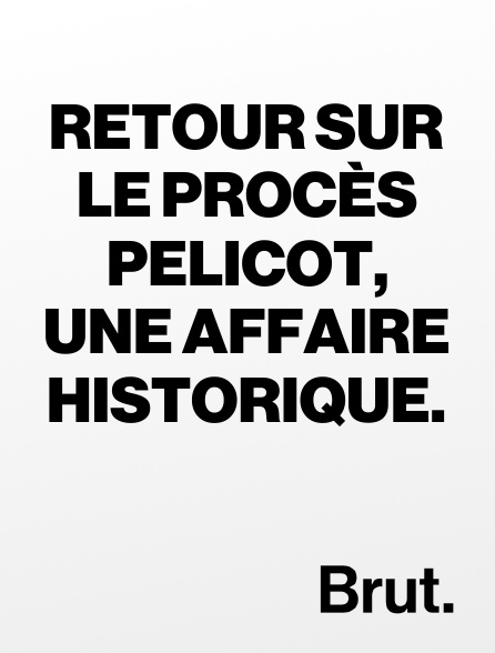 Brut - Retour sur le procès Pelicot, une affaire historique.