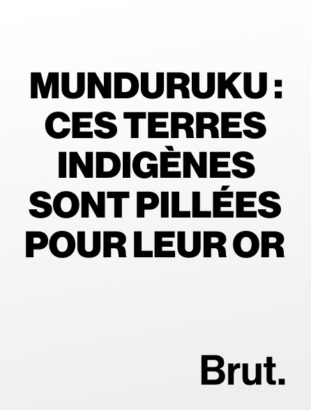 Brut - Munduruku : ces terres indigènes sont pillées pour leur or