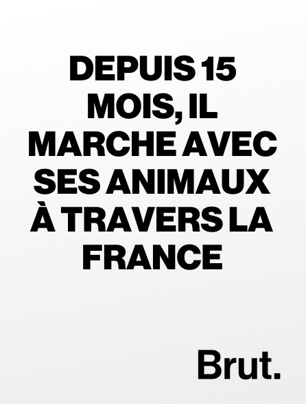 Brut - Depuis 15 mois, il marche avec ses animaux à travers la France