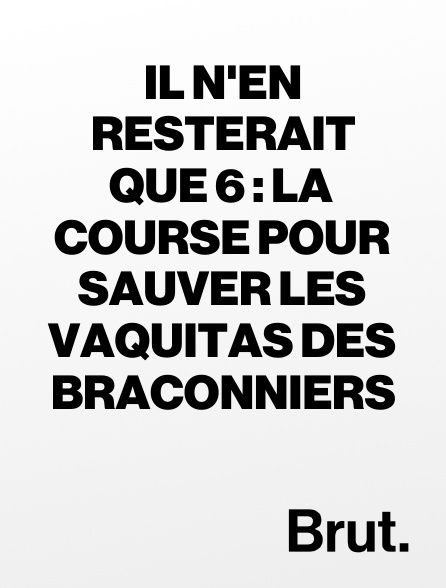 Brut - Il n'en resterait que 6 : la course pour sauver les vaquitas des braconniers