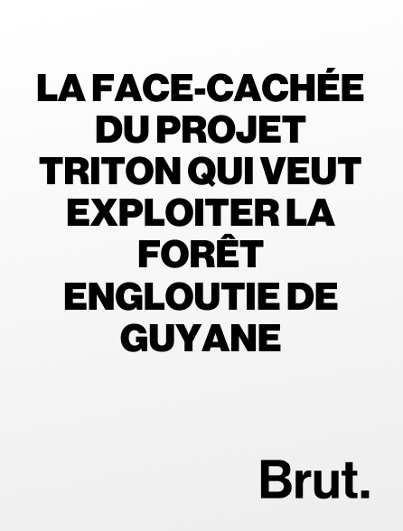 Brut - La face-cachée du projet Triton qui veut exploiter la forêt engloutie de Guyane