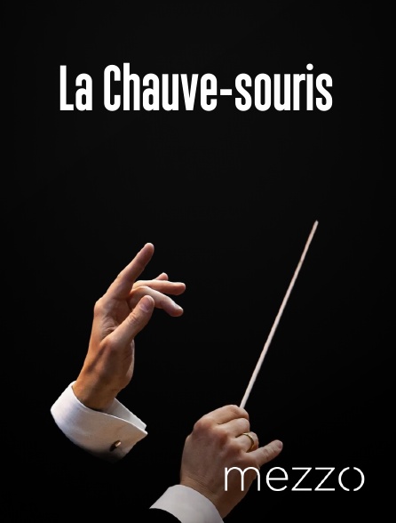 Mezzo - La Chauve-souris