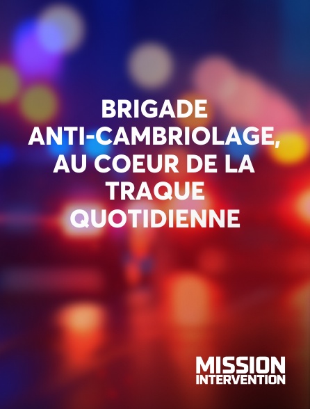 Mission Intervention - Brigade anti-cambriolage, au coeur de la traque quotidienne