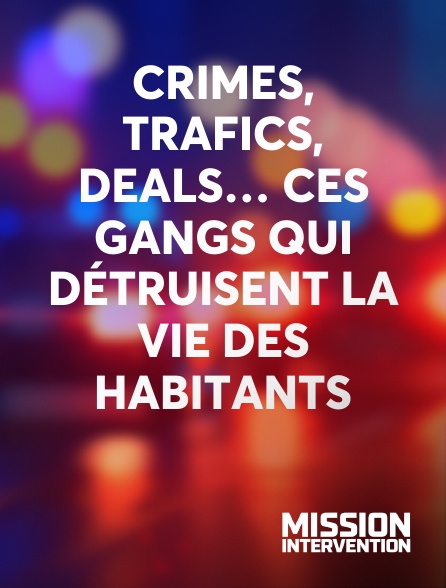 Mission Intervention - Crimes, trafics, deals… Ces gangs qui détruisent la vie des habitants
