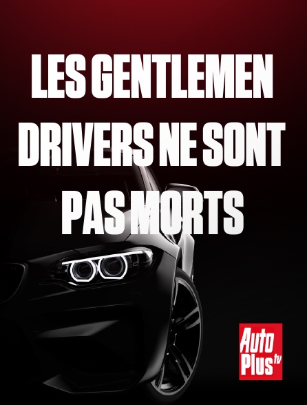 AutoPlus - Les Gentlemen drivers ne sont pas morts
