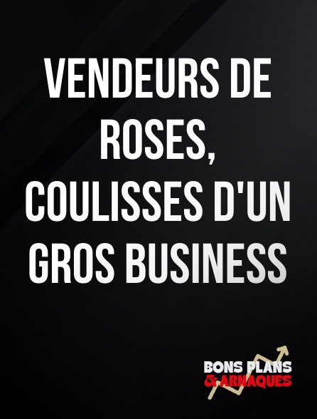 Bons plans et arnaques - Vendeurs de roses, coulisses d'un gros business