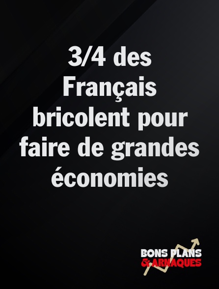 Bons plans et arnaques - 3/4 des Français bricolent pour faire de grandes économies