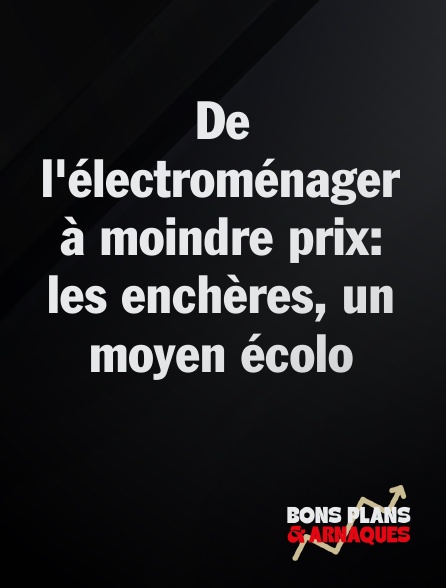 Bons plans et arnaques - De l'électroménager à moindre prix: les enchères, un moyen écolo