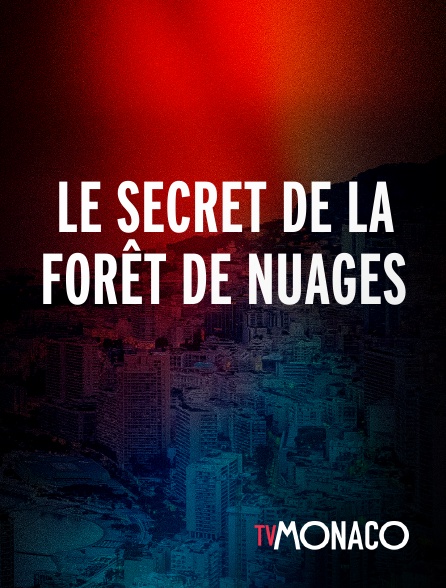 TV Monaco - Le secret de la forêt de nuages