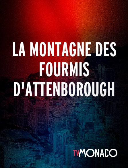 TV Monaco - La montagne des fourmis d'Attenborough