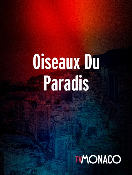 TV Monaco - Oiseaux Du Paradis en replay