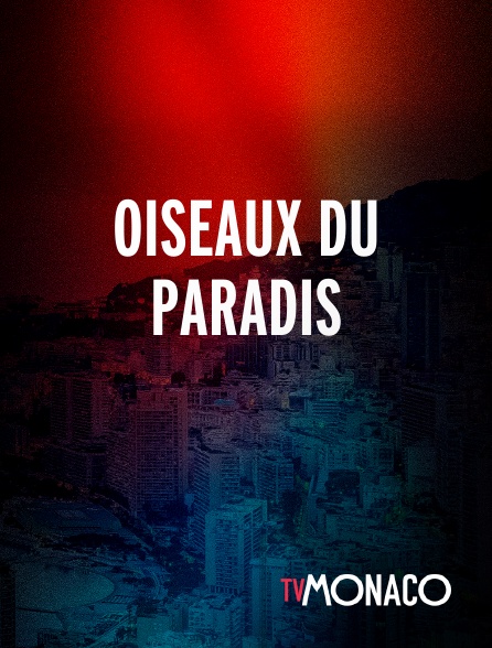 TV Monaco - Oiseaux Du Paradis