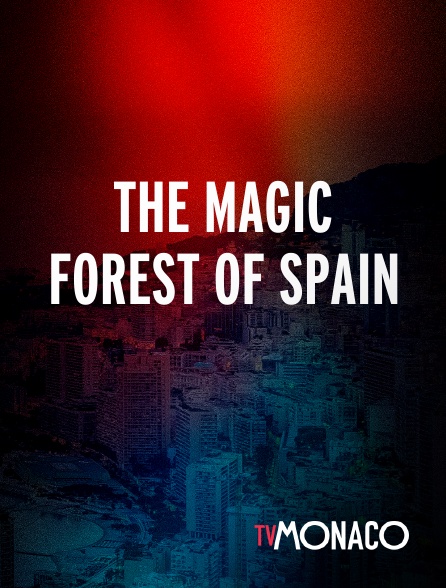 TV Monaco - The magic forest of Spain