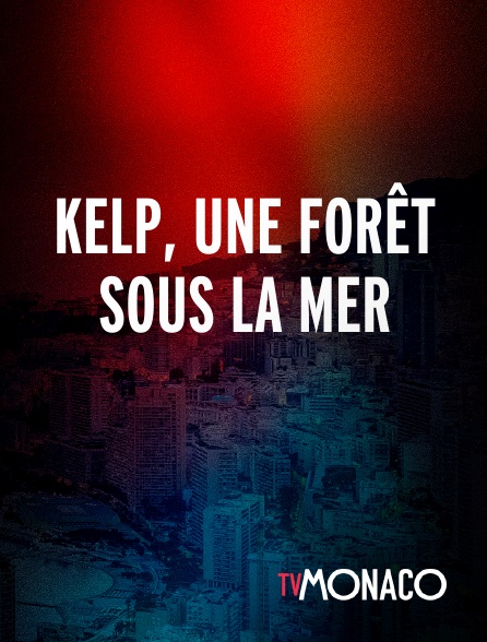 TV Monaco - Kelp, une forêt sous la mer