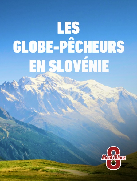 8 Mont Blanc - Les globe-pêcheurs en Slovénie