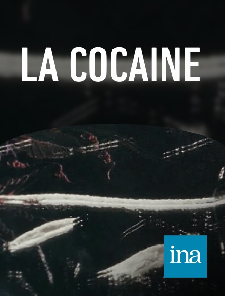 INA - La cocaïne