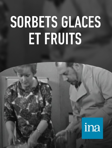 INA - Sorbets glacés et fruits