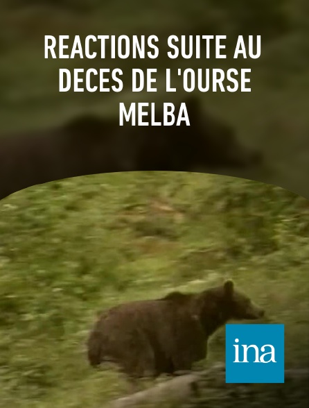 INA - Réactions suite au décès de l'ourse Melba