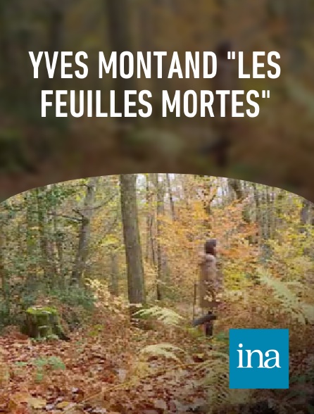INA - Yves Montand "Les feuilles mortes"