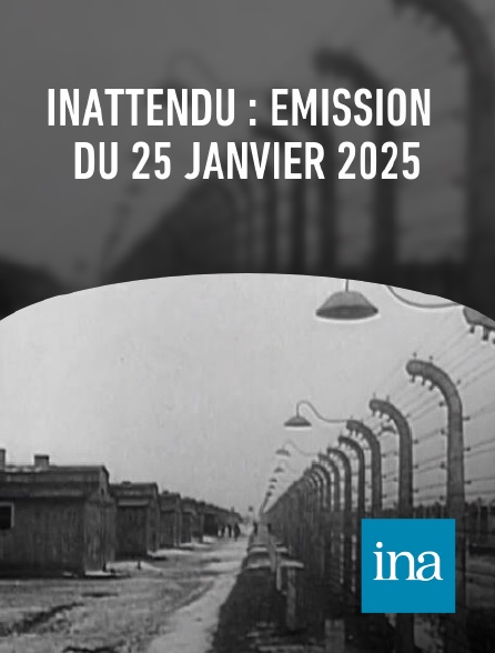 INA - Inattendu : émission du 25 janvier 2025