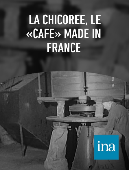 INA - La chicorée, le «café» made in France