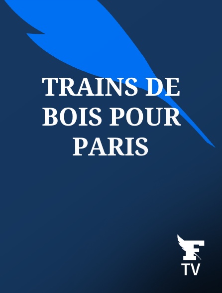 Le Figaro TV - Trains de bois pour Paris