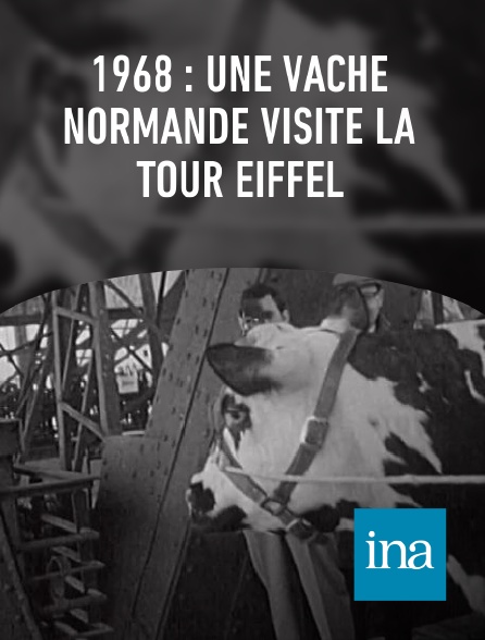 INA - 1968 : une vache normande visite la Tour Eiffel
