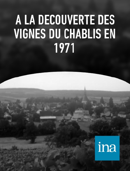 INA - À la découverte des vignes du Chablis en 1971