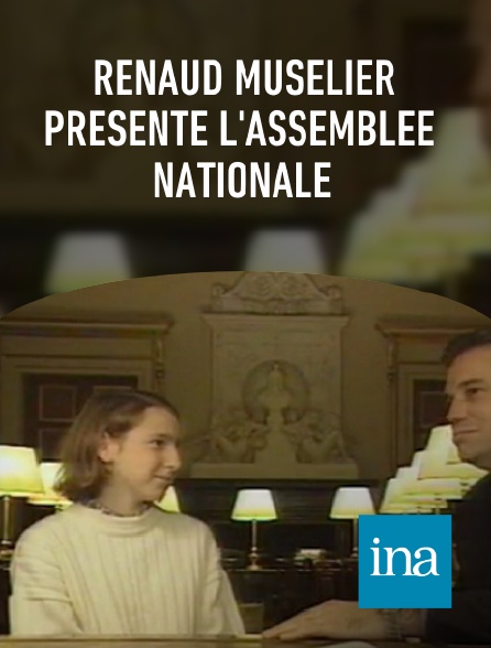 INA - Renaud Muselier présente l'Assemblée nationale