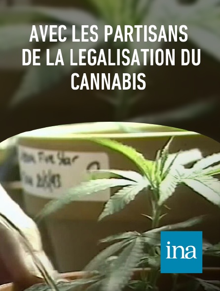 INA - Avec les partisans de la légalisation du cannabis
