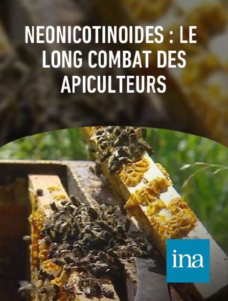 INA - Néonicotinoïdes : le long combat des apiculteurs