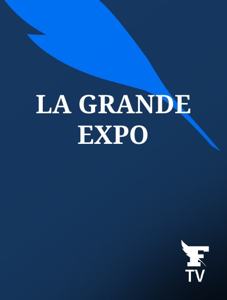Le Figaro TV - La grande expo