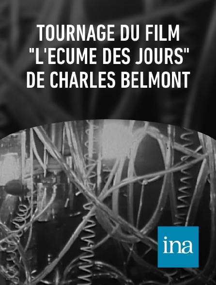 INA - Tournage du film "L'Ecume des jours" de Charles Belmont