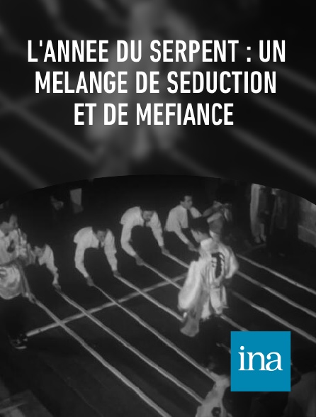 INA - L'année du serpent : un mélange de séduction et de méfiance